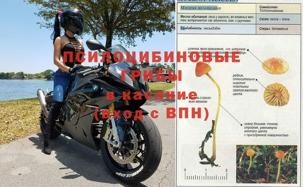 Альфа ПВП Армянск