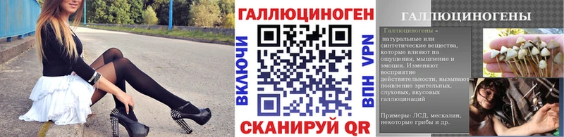 Галлюциногенные грибы мицелий  купить   Зверево 